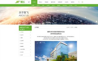 聚飞光电股中文网站官方网站设计制作 成功案例 沙漠风网站建设公司